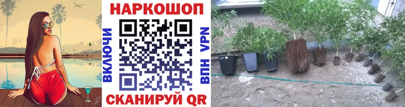 Как найти наркотики Городище Бошки Шишки APVP Амфетамин КОКАИН ГАШ