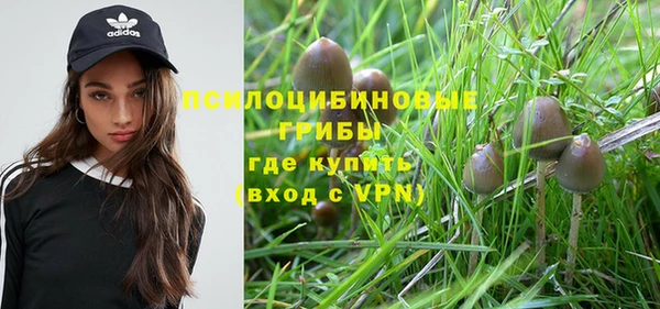 соль ск Верхнеуральск
