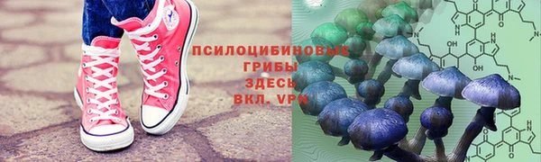 spice Верхний Тагил